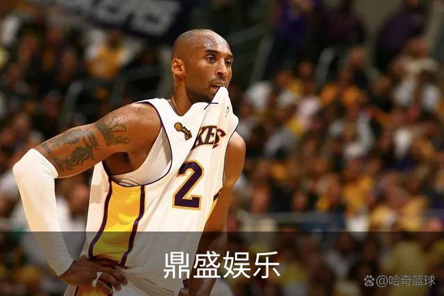 鼎盛娱乐公司介绍图